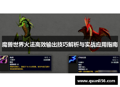 魔兽世界火法高效输出技巧解析与实战应用指南