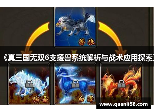 《真三国无双6支援兽系统解析与战术应用探索》