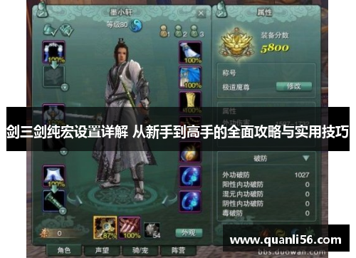 剑三剑纯宏设置详解 从新手到高手的全面攻略与实用技巧 剑三剑纯宏设置详解 从新手到高手的全面攻略与实用技巧